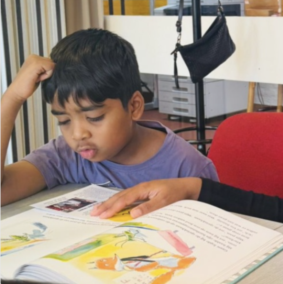 Begeleiding bij lezen door De Leeswijzer